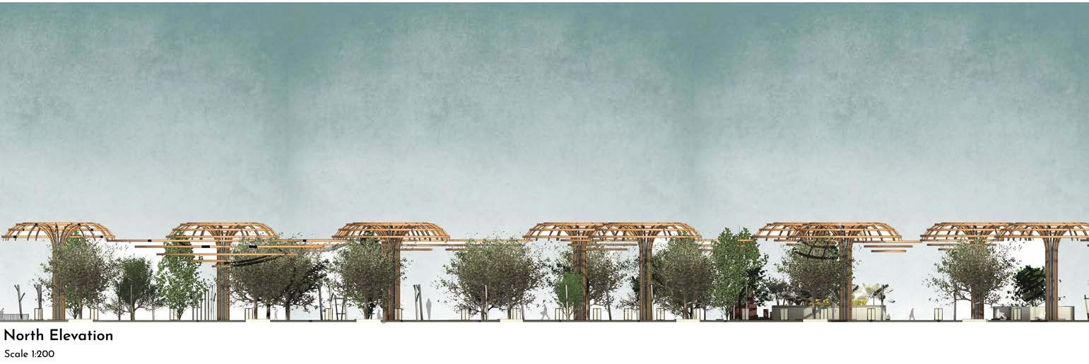 Elevations of the timber canopy structures